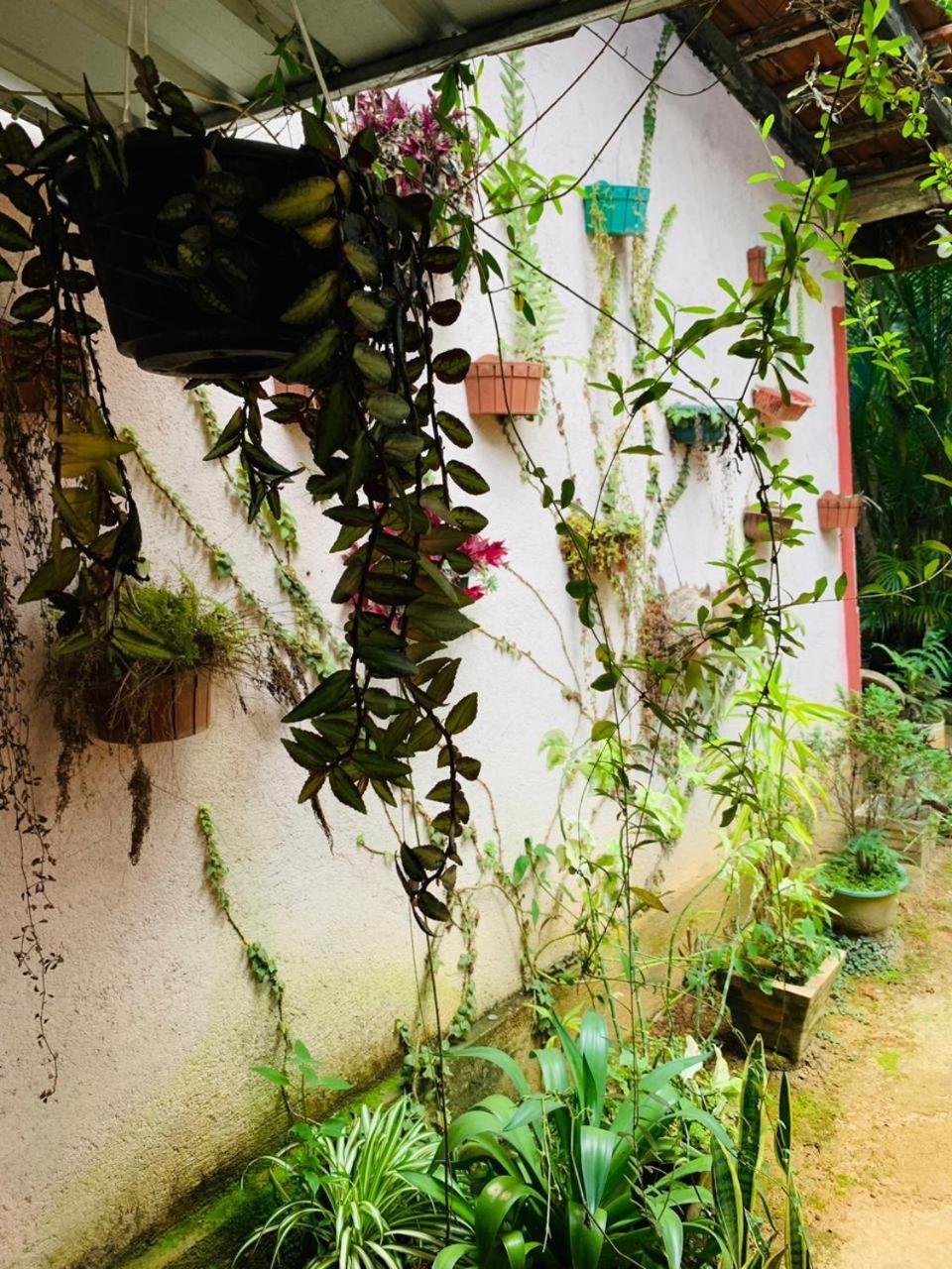 Little Cottage 엘라 외부 사진