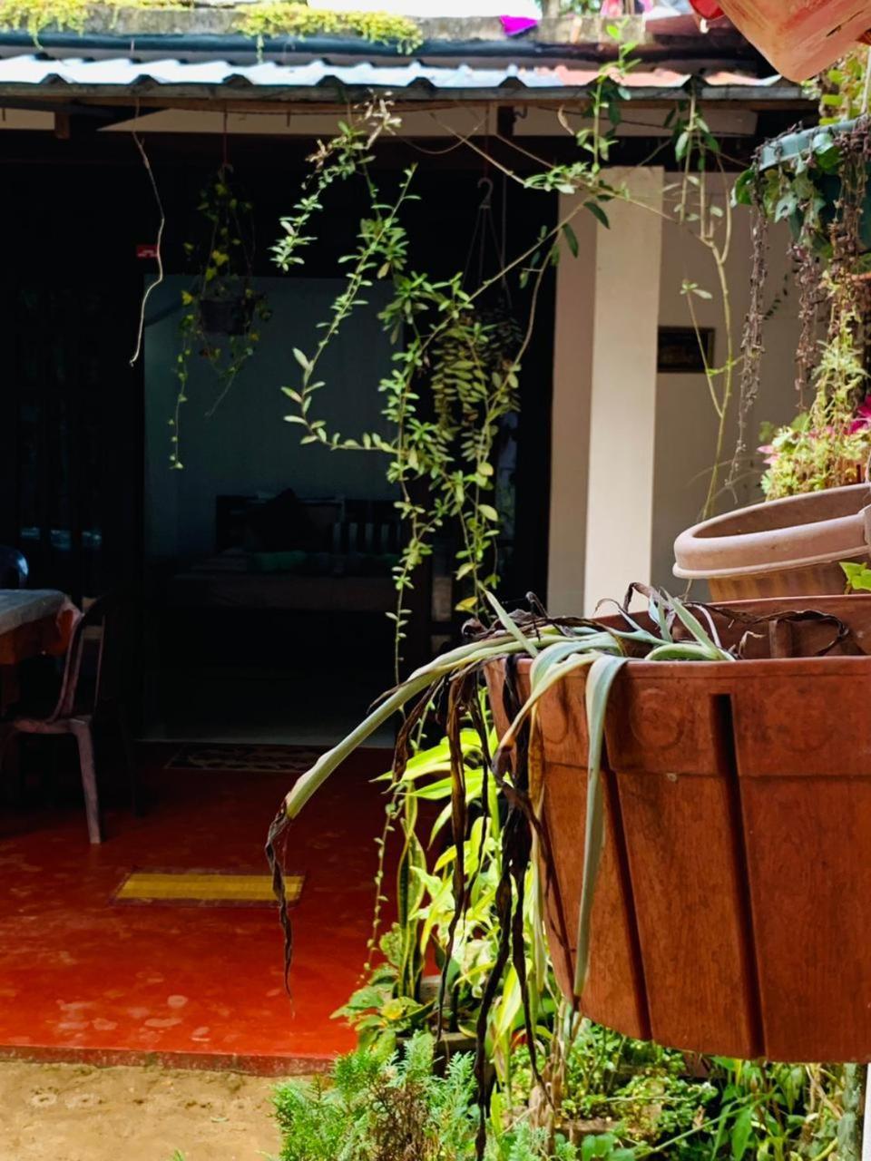 Little Cottage 엘라 외부 사진