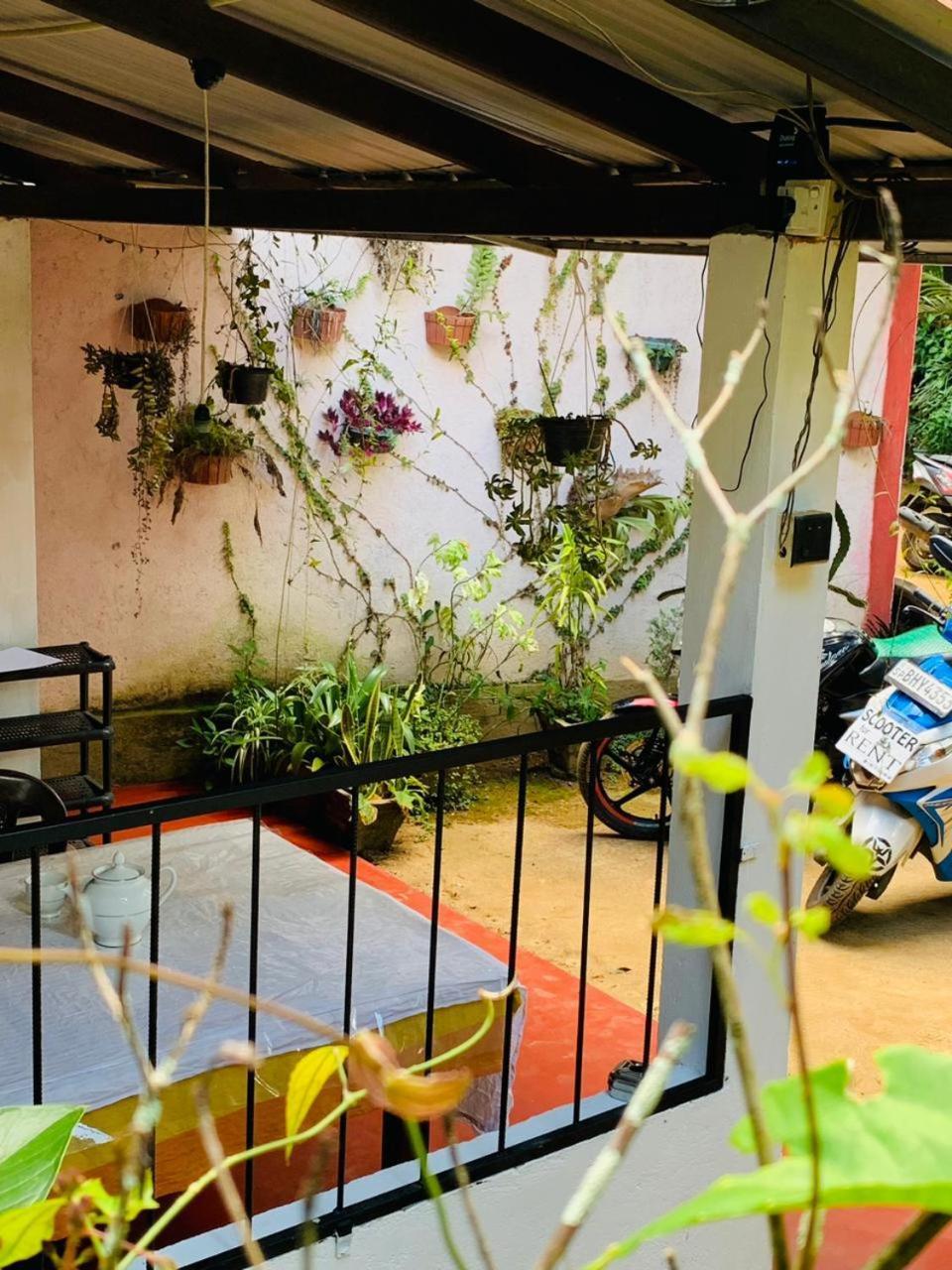 Little Cottage 엘라 외부 사진